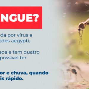 Saúde em foco: prevenção e cuidado na luta contra a dengue